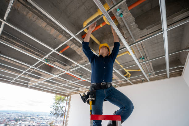 Best Plumbing Inspection Services  in Cape St Claire, MD